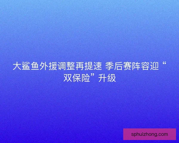 大鲨鱼外援调整再提速 季后赛阵容迎 “双保险” 升级